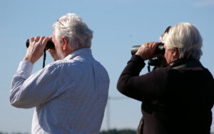 Read more about the article How to Choose the Best Binoculars for an Alaskan Trip